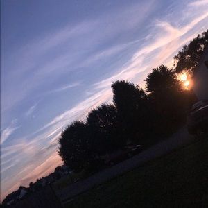 Meet your Posher, Ella